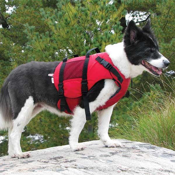 Canine pfd hot sale