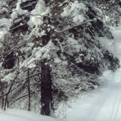 SASK xc ski events you may not have heard of