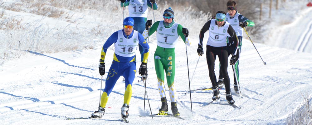 cross country ski racers poling 