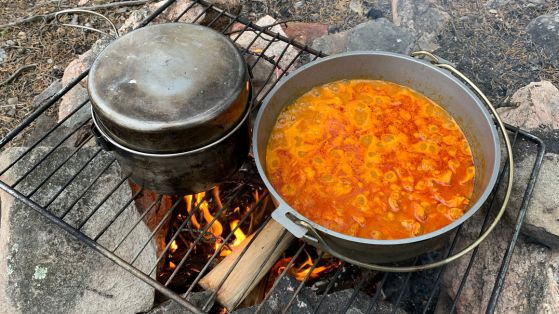 pot of food on campfire grill