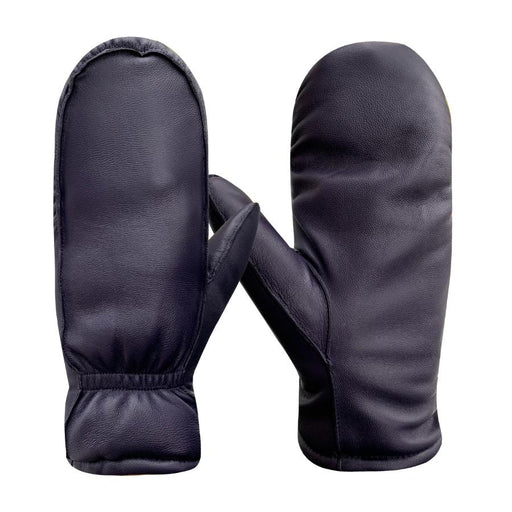 Pair of black mittens on a white background