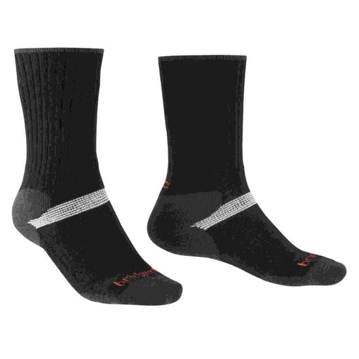 Pair of black socks with a gray band on a white background