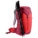Deuter AC Lite 30 PACK DEUTER