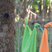 Sea to Summit Clothesline CLOTHESLINE SEA TO SUMMIT
