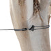 Sea to Summit Clothesline CLOTHESLINE SEA TO SUMMIT