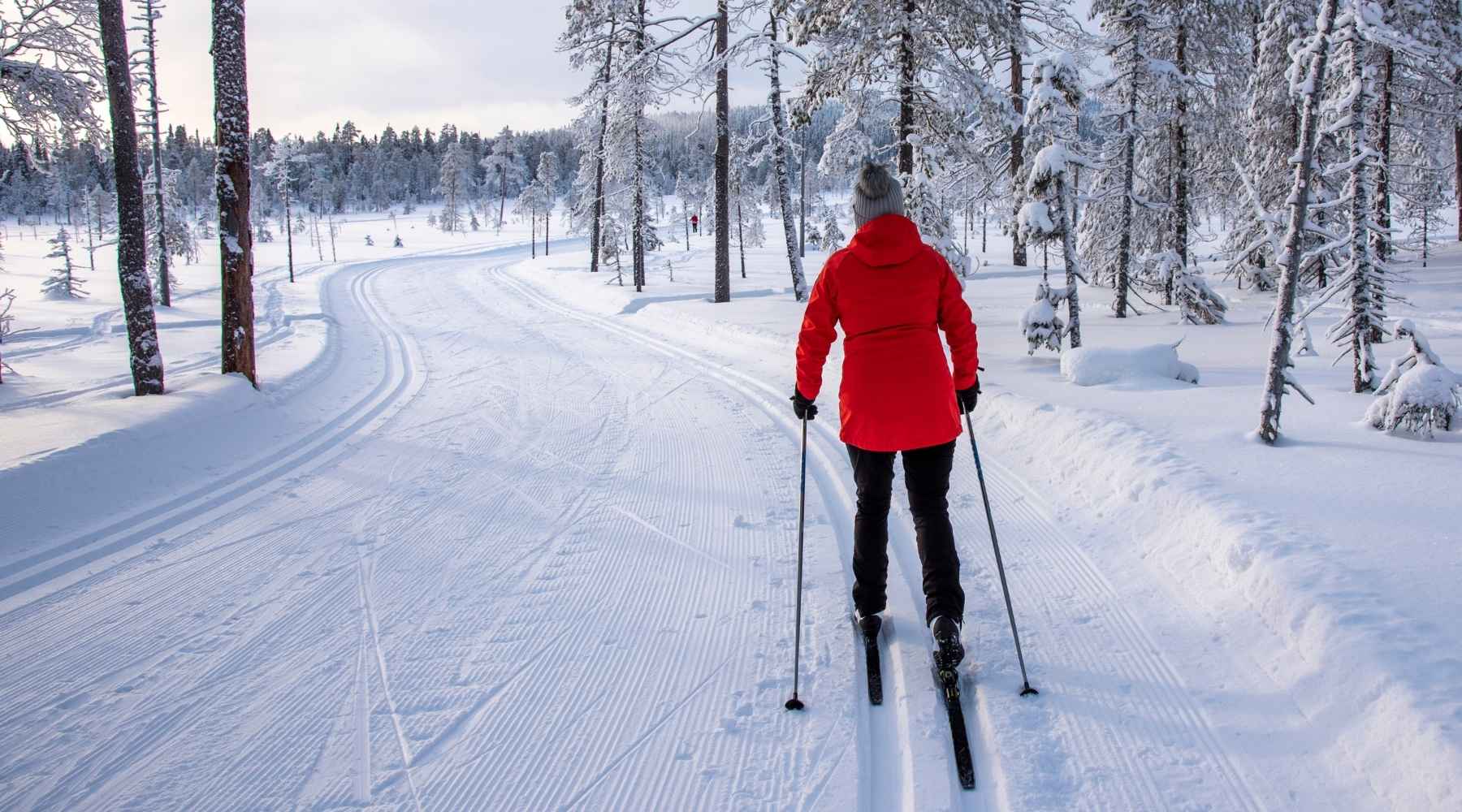 A person cross-country skiing on a snowy forest track, viewed from behind, wearing a bright red jacket, black pants, and using ski poles.