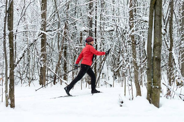 Person backcountry skiing through a snowy forest