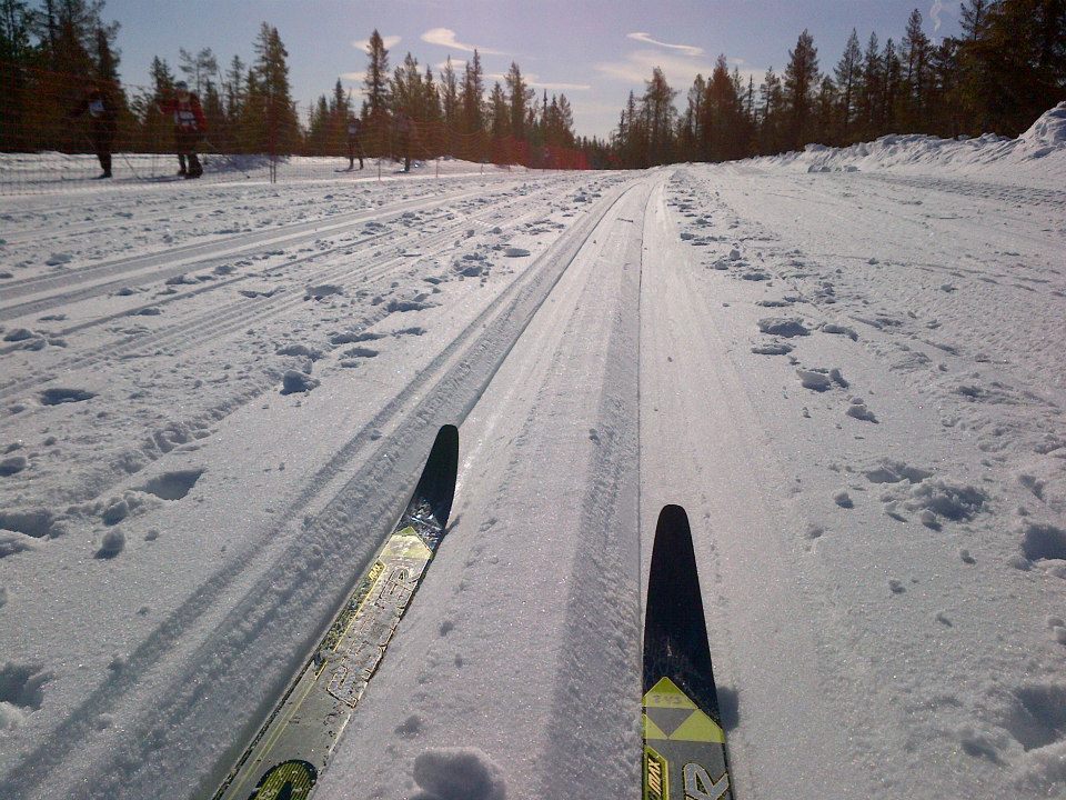 cross country ski tips on the snow