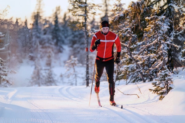 Person cross-country skiing in a snowy forest