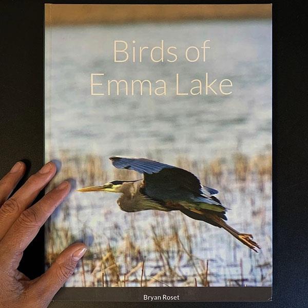 Birds of Emma Lake